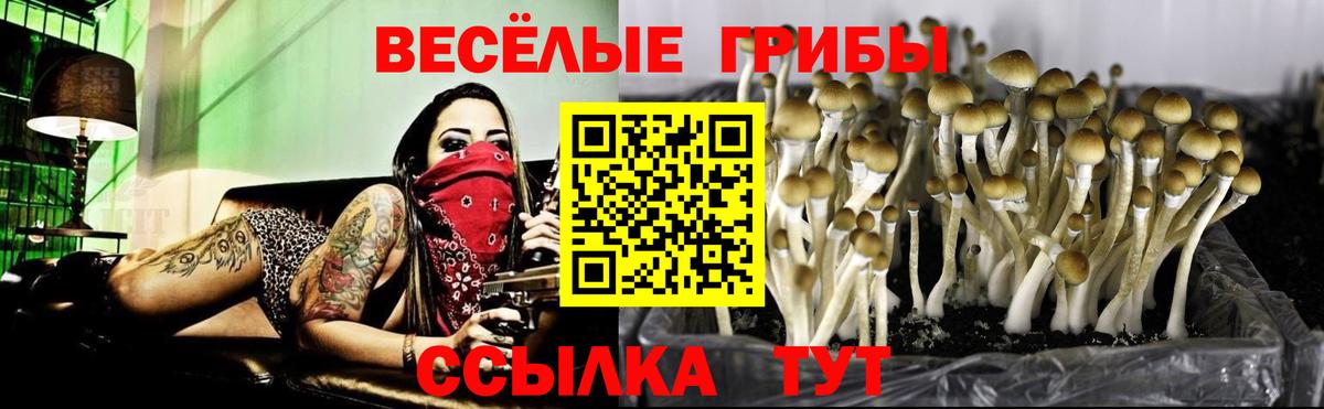 Луга  Галлюциногенные грибы мухоморы  Вход с VPN 